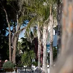 Hotel Royal G Max 5*