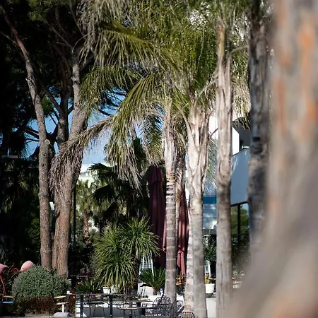 فندق Royal G Max 5*